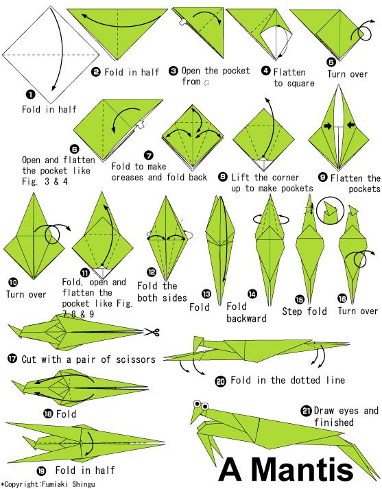 威廉希尔公司官网
折纸螳螂的基本折法威廉希尔中国官网
展示出儿童折纸螳螂应该如何制作