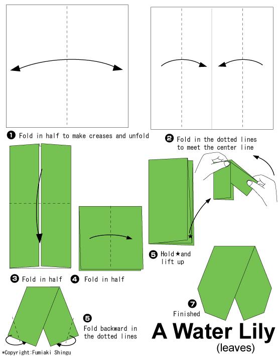 折纸睡莲的折纸叶片结构折法威廉希尔中国官网
