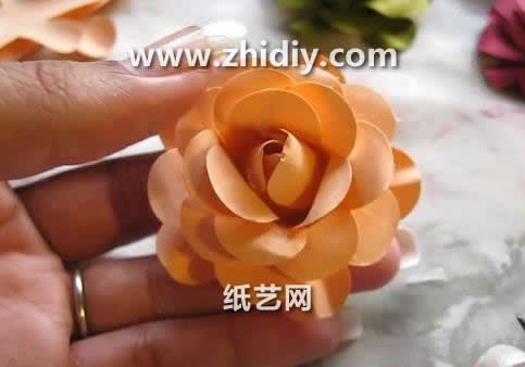 纸玫瑰花的折法之打花器威廉希尔公司官网
制作玫瑰花的基本制作方法威廉希尔中国官网
