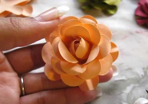 纸玫瑰花的折法之打花器玫瑰花的简单威廉希尔公司官网
制作折法威廉希尔中国官网
