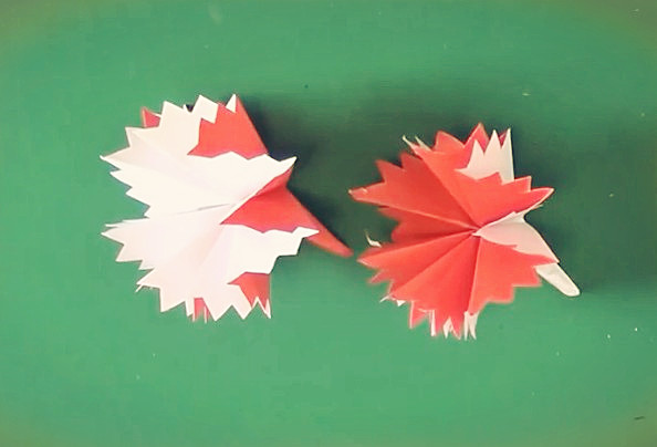 母亲节简单折纸花康乃馨的威廉希尔公司官网
折纸视频威廉希尔中国官网
