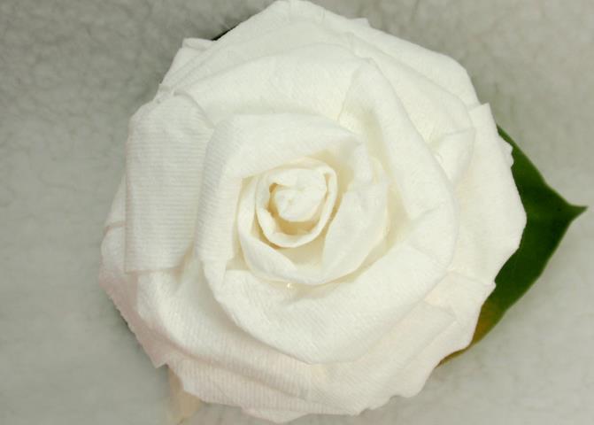 简单纸玫瑰威廉希尔中国官网
教你如何使用卫生纸制作纸玫瑰花