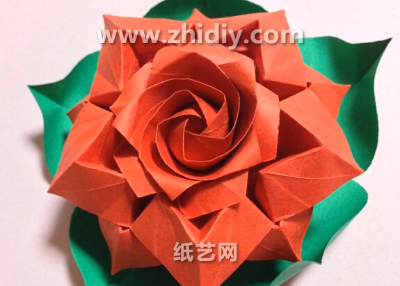 威廉希尔公司官网
折纸玫瑰花折法威廉希尔中国官网
展示出超炫折纸玫瑰花的折法