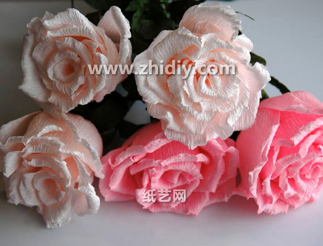 威廉希尔公司官网
皱纹纸玫瑰花教你学习如何使用皱纹纸制作出精彩的玫瑰花来