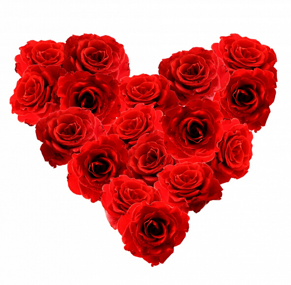 如果17朵玫瑰花语里的爱注定是要归于绝望和无可挽回之境的
