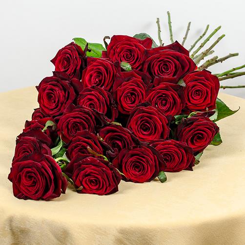 如果你收到一束象征着真诚之爱的21朵玫瑰花语的花束