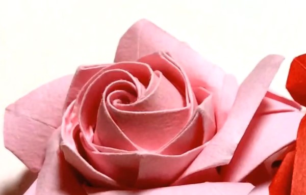 最新五角折纸玫瑰花的威廉希尔公司官网
制作DIY视频威廉希尔中国官网
