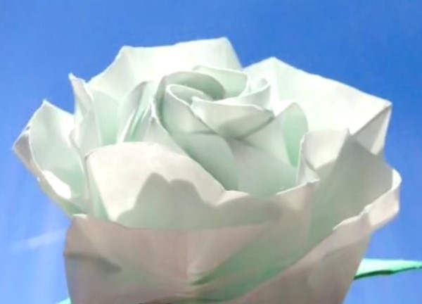 绽放折纸玫瑰花的威廉希尔公司官网
视频威廉希尔中国官网
