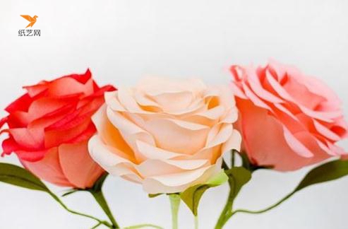 写真必备装饰花纸玫瑰制作威廉希尔中国官网
