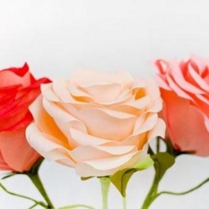写真必备装饰花纸玫瑰制作威廉希尔中国官网
