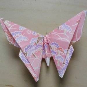 漂亮的折纸蝴蝶制作威廉希尔中国官网
