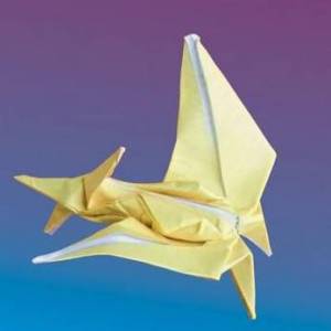恐龙折纸之折纸翼手龙制作威廉希尔中国官网
详解