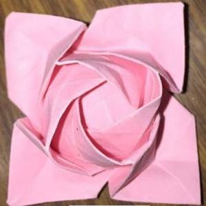 福山玫瑰折纸威廉希尔中国官网
