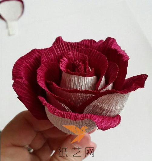 漂亮的双色玫瑰花制作威廉希尔中国官网
