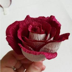 漂亮的双色玫瑰花制作威廉希尔中国官网
