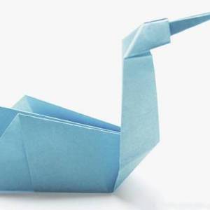 简单折纸天鹅制作威廉希尔中国官网
