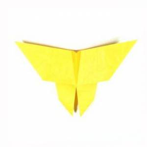 简单漂亮的折纸蝴蝶制作威廉希尔中国官网
