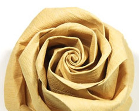 卷心的玫瑰花折纸威廉希尔中国官网
