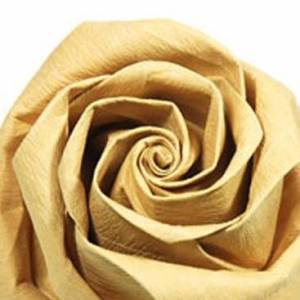 卷心的玫瑰花折纸威廉希尔中国官网
