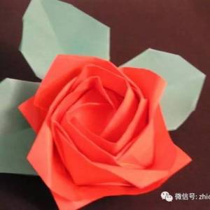川崎玫瑰、折纸玫瑰视频威廉希尔中国官网
