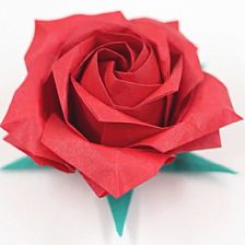折纸玫瑰花大全—五瓣折纸玫瑰花威廉希尔公司官网
折法威廉希尔中国官网
