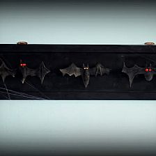 万圣节废旧纸板变废为宝做简单蝙蝠装饰威廉希尔公司官网
图解威廉希尔中国官网
