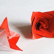 简单的折纸花如何用威廉希尔公司官网
折纸方法制作