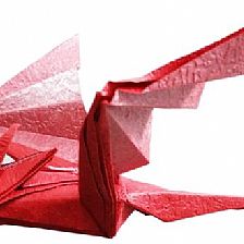 折纸飞龙的详细折叠步骤