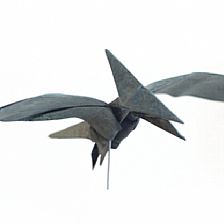折纸恐龙大全—折纸翼龙的折法制作威廉希尔中国官网
