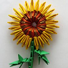 模块折纸花向日葵的威廉希尔公司官网
折法制作威廉希尔中国官网
