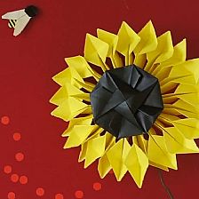折纸花向日葵的威廉希尔公司官网
创意DIY制作威廉希尔中国官网
