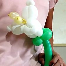 情人节百合花威廉希尔公司官网
魔术气球造型