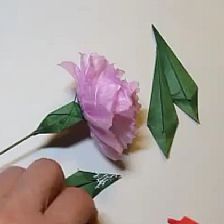 母亲节折纸康乃馨的制作威廉希尔中国官网
