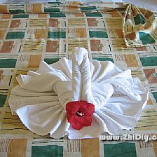 毛巾折纸天鹅的制作