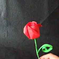 【折纸视频】情人节简单折纸玫瑰—折纸阿布
