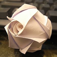 修改版威廉希尔公司官网
折纸川崎玫瑰折纸玫瑰的折法