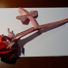 陈氏一纸成型折纸玫瑰与折纸玫瑰花的折法威廉希尔中国官网
