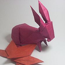 神谷哲史折纸兔子图纸威廉希尔中国官网
[折纸图谱]