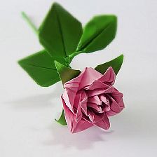 折纸玫瑰的折法之卷心玫瑰折纸威廉希尔中国官网
图解