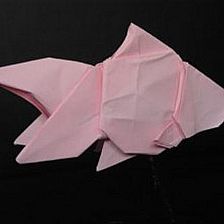 鱼类折纸大全图解之折纸金鱼图解威廉希尔中国官网

