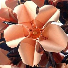玫瑰花的折法之花球野玫瑰的折法图解折纸威廉希尔中国官网
