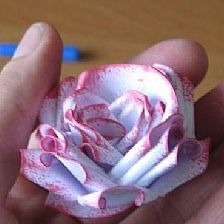 玫瑰花的折法之改进版卷纸玫瑰的实拍图威廉希尔中国官网
