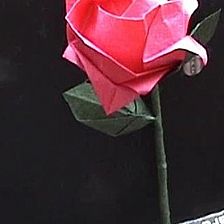完整折纸玫瑰花折法图解[折纸玫瑰花、茎和叶片的完整折法]