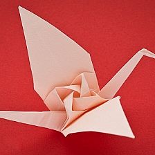 折纸玫瑰花千纸鹤的折法图解威廉希尔中国官网
