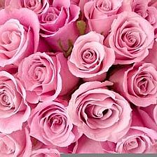 静下心来折纸40朵玫瑰花，体味40朵玫瑰花语中至死不渝的爱情