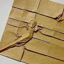 折纸壁虎和苍蝇的折纸图纸威廉希尔中国官网
[动物折纸图谱]