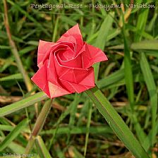 折纸玫瑰花的折法图解之十瓣折纸玫瑰花折纸威廉希尔中国官网
