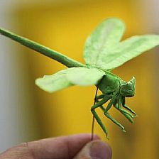 昆虫折纸-折纸蜻蜓的图解威廉希尔中国官网
