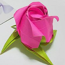 纸玫瑰的折法之简氏折纸玫瑰花的视频威廉希尔中国官网
—陈柏熹