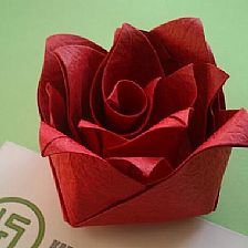 纸玫瑰的折纸威廉希尔中国官网
之纸仙玫瑰花的折纸视频威廉希尔中国官网
—陈伯熹